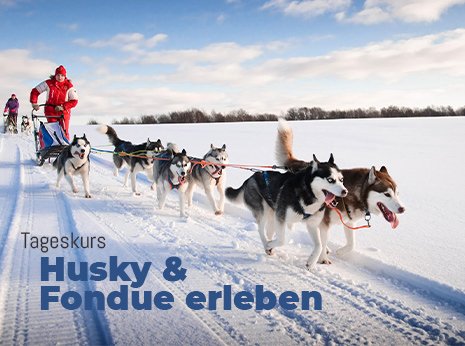 Schlittenhunde Tageskurs