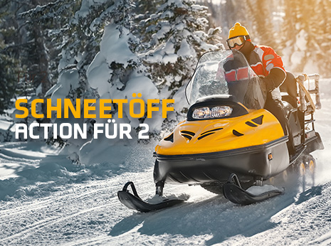 Snowmobile für 2