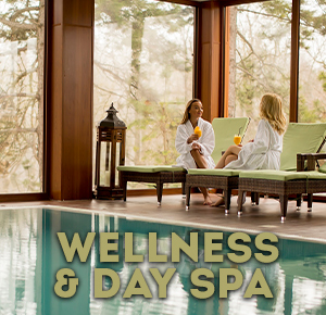 Wellness & Day Spa