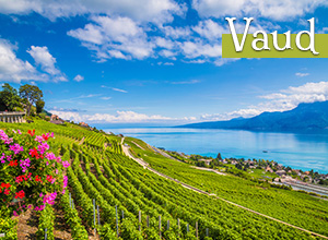 Vaud