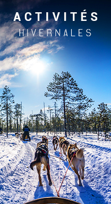 Activités hivernales