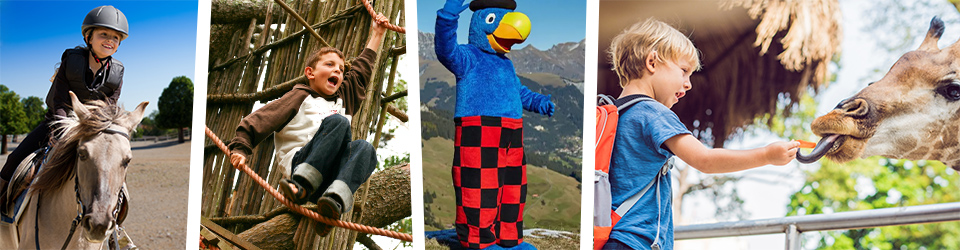 Activités pour toute la famille