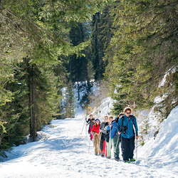 Balade en raquettes, Région de la Jungfrau