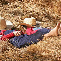 Dormir sur la paille, Cadeau pour les familles