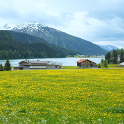 Übernachtung in Davos, inkl. 3-Gang Dinner