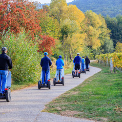 Private Segway Tour, in Genf für 2 Personen