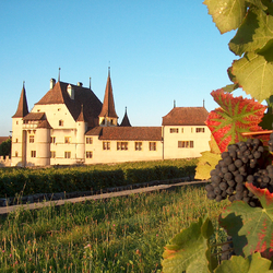 Visite & dégustation pour 2, Avec 4 bouteilles offertes - Cave des Lauriers (NE)
