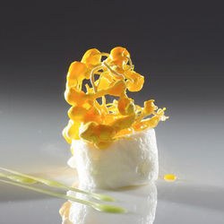 Show culinaire avec Denis Martin, 1h30 de démonstration & dégustation d'un menu de 20 plats / 1 pers