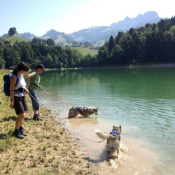 Cani-Rando, Sortie sportive avec des Huskys