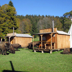 Séjour Far West au Bison Ranch, Au Près d'Orvin - 1 nuitée pour 2 pers avec petit-déjeuner