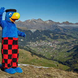 Téléphérique Globi Engstligenalp, Sortie en famille pour 2 adultes et 4 enfants max.
