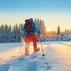 Balade en raquettes, Au clair de lune