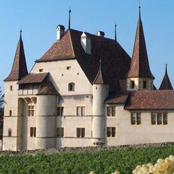 Dégustation de vin pour deux, Cave des Lauriers (NE) avec visite, apéro et 1 bouteille offerte