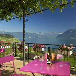 Dégustation de vin pour deux, Au Croix Duplex avec visite, apéro, kit du sommelier et bon CHF 20.-