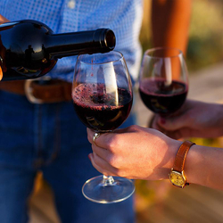 Dégustation de vin pour deux, Domaine de Mont sur Rolle ou de Tartegnin (VD)