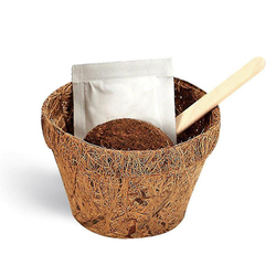 Grow Me, "Ich liebe Dich"