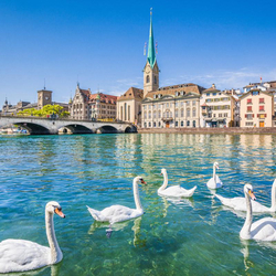 City Trip in Zürich, 1 Übernachtung im Designhotel Plattenhof inkl. Abendessen