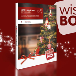 Merry Christmas - Wishbox, 1 Box - über 25 Erlebnisse