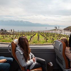Panoramatour "Abendessen", Mit dem Kleinbus inklusive Abendessen | für 2 Personen