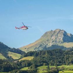 Héli-Fondue au Moléson, Vol de 20 minutes et fondue pour 2 personnes