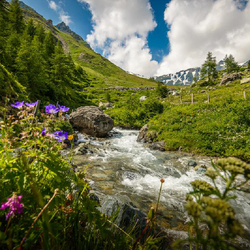 Court séjour pour deux, inclus dîner et trottinettes