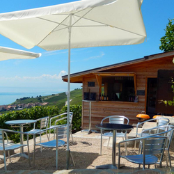 Dégustation de vin pour deux, Domaine Bovy (VD) avec visite, apéro et bouteille offerte