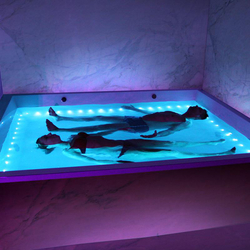 Floating zu zweit, 1 Stunde Schwerelosigkeit für 2 Personen