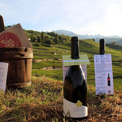 Box "Exploration" vins valaisans, 4 bouteilles, 2 livraisons pour 1 personne