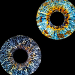 Iris Paar Shooting, 40x40cm auf Echt-Glas, für 2 Personen