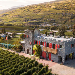 Übernachtung im Schloss, 1 Nacht mit Weinverkostung und Walliser Teller | im Winter