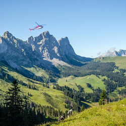 Helikopterflug über die Gastlosen, 25-minütiger Flug über die Freiburger Voralpen | 2 Personen