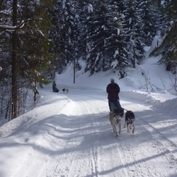 Husky exclusif, pour 2 personnes