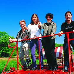 Käse Geschenkset, inkl. Käse Abo