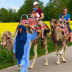 Monter à dos de chameau, Pour toute la famille